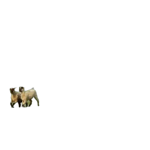 animal, creature, furniture, pixel art, concept art, earth tones, black, white transparent PNG cut-out