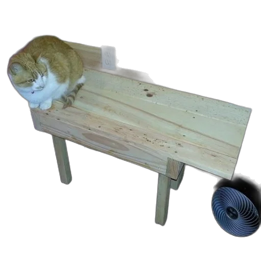 furniture, staff, animal, weapon, 3d render, cat, sits, wooden transparent PNG cut-out