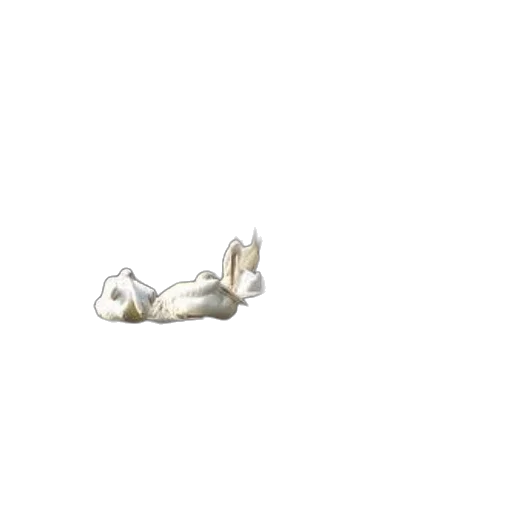 animal, creature, robot, shoes, pixel art, 3d render, concept art, photorealistic transparent PNG cut-out