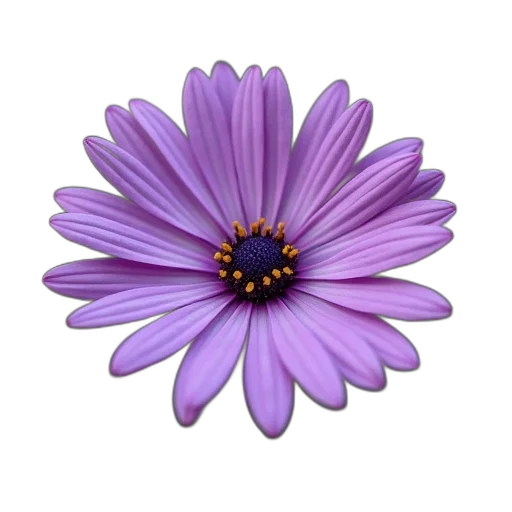 flower, crown, jewelry, staff transparent PNG cut-out