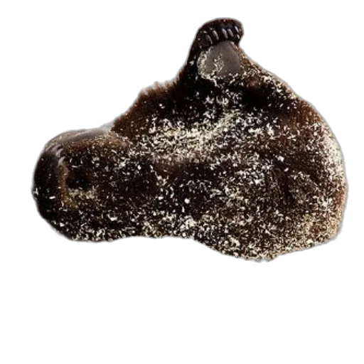 animal, hair, hat, crown, photorealistic, 3d render, concept art, brown transparent PNG cut-out
