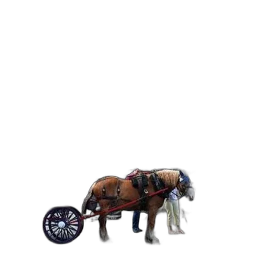 car, animal, robot, furniture, concept art, 3d render, photorealistic, pixel art transparent PNG cut-out