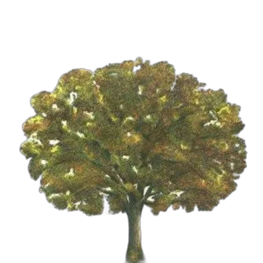 tree, crown, staff, jewelry, 3d render, photorealistic, oil painting, watercolor transparent PNG cut-out