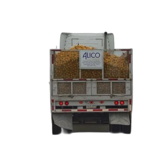 food, truck, alico, transporting, large, load, oranges, rural transparent PNG cut-out