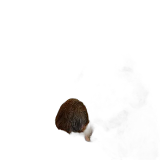 hair, hat, face, staff transparent PNG cut-out