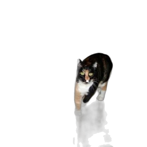 animal, creature, staff, robot, pixel art, 3d render, photorealistic, concept art transparent PNG cut-out