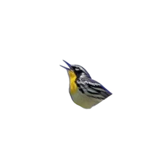 animal, creature, food, staff, pixel art, 3d render, photorealistic, concept art transparent PNG cut-out