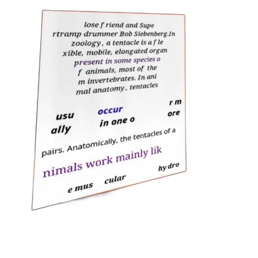 animal, jewelry, staff, image, text, discussing, anatomy, tentacles transparent PNG cut-out