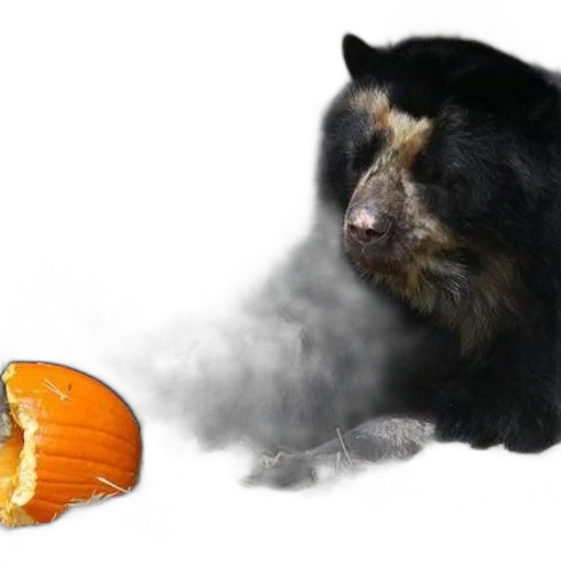 food, animal, creature, mask, photorealistic, concept art, 3d render, fire transparent PNG cut-out