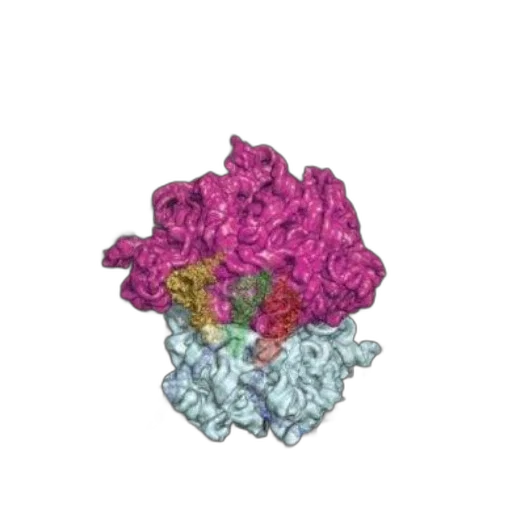 flower, crown, dragon, jewelry, pixel art, 3d render, cover, molecules transparent PNG cut-out