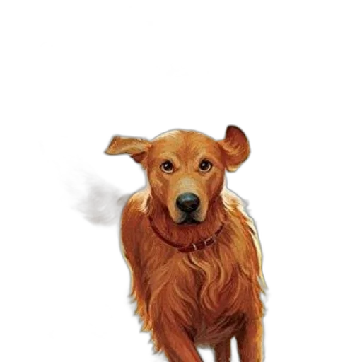 animal, staff, creature, face, photorealistic, oil painting, watercolor, concept art transparent PNG cut-out