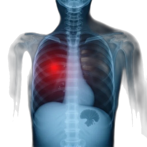 robot, jacket, jewelry, chest transparent PNG cut-out
