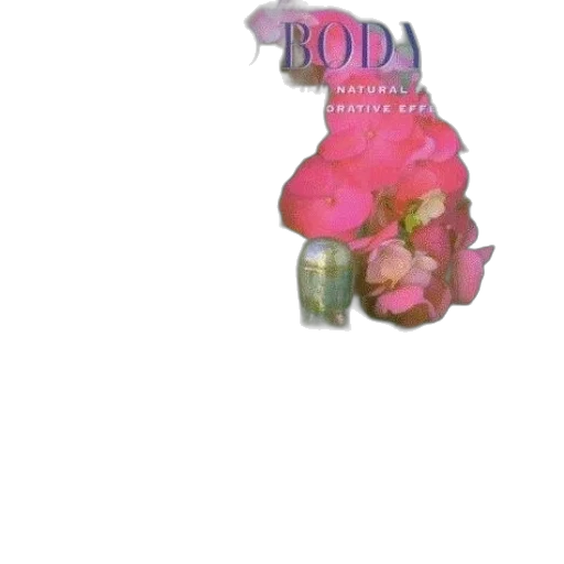 flower, jewelry, bottle, food, 3d render, vaporwave, photorealistic, concept art transparent PNG cut-out