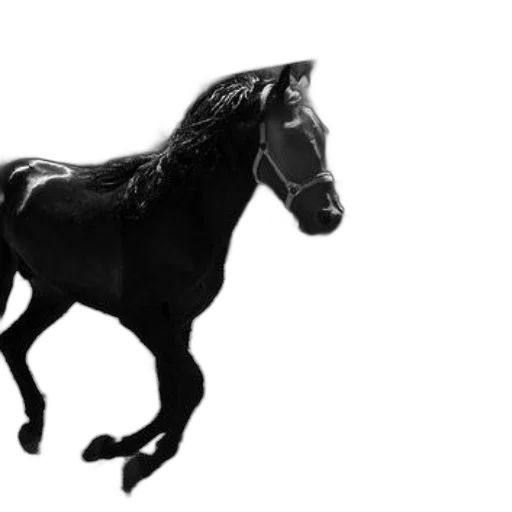 animal, creature, crown, jewelry, photorealistic, 3d render, concept art, fantasy art transparent PNG cut-out