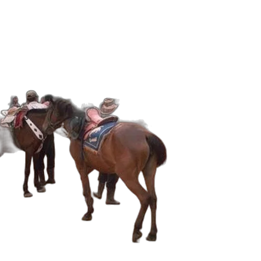 hat, animal, staff, crown transparent PNG cut-out