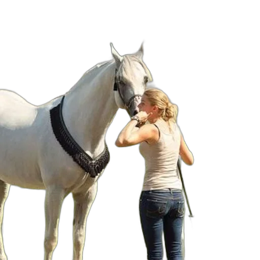animal, staff, photorealistic, 3d render, concept art, woman, beige, tank transparent PNG cut-out