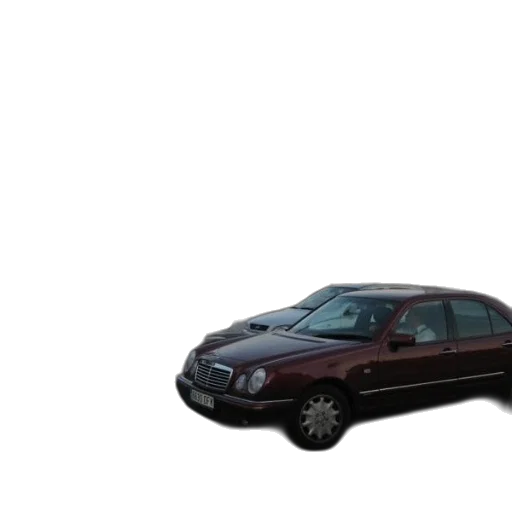 car, weapon, animal, 3d render, photorealistic, concept art, busy, street transparent PNG cut-out