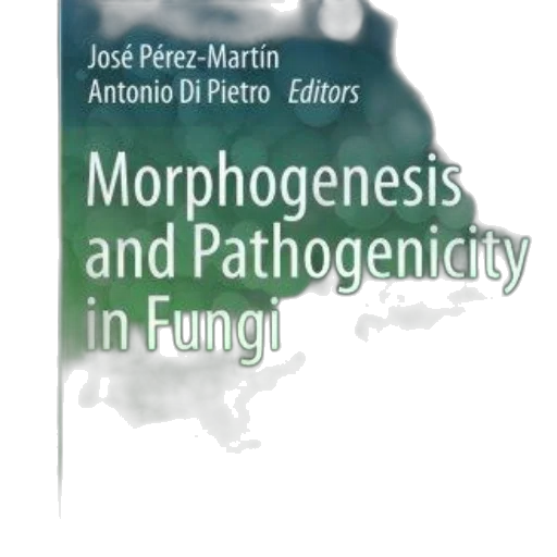 cover, morphogenesis, pathogenicity, fungi, edited, josé, pérez-martín, antonio transparent PNG cut-out
