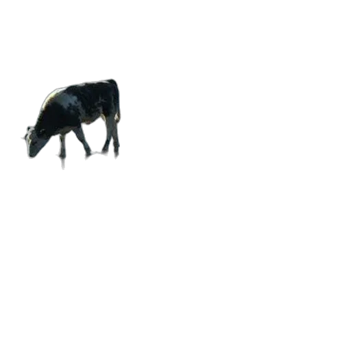 animal, creature, dragon, robot, 3d render, concept art, photorealistic, pixel art transparent PNG cut-out