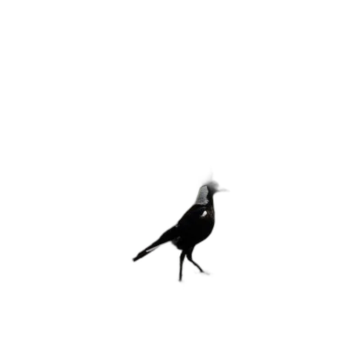 animal, creature, hat, dress, pixel art, concept art, photorealistic, 3d render transparent PNG cut-out