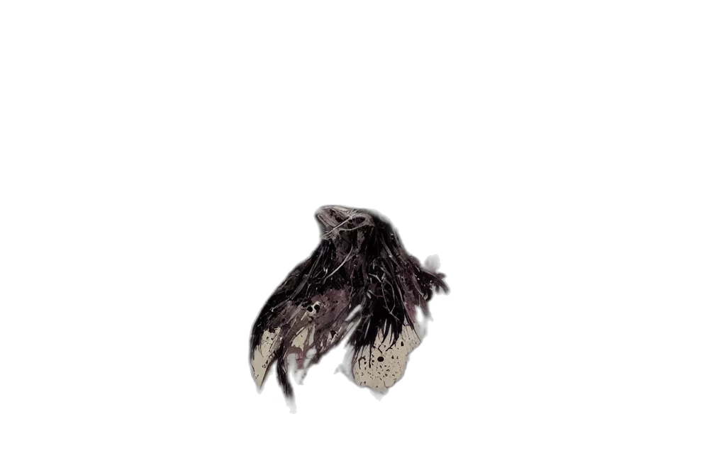 hair, crown, mask, animal transparent PNG cut-out