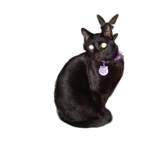 animal, staff, creature, jewelry, 3d render, photorealistic, pixel art, concept art transparent PNG cut-out