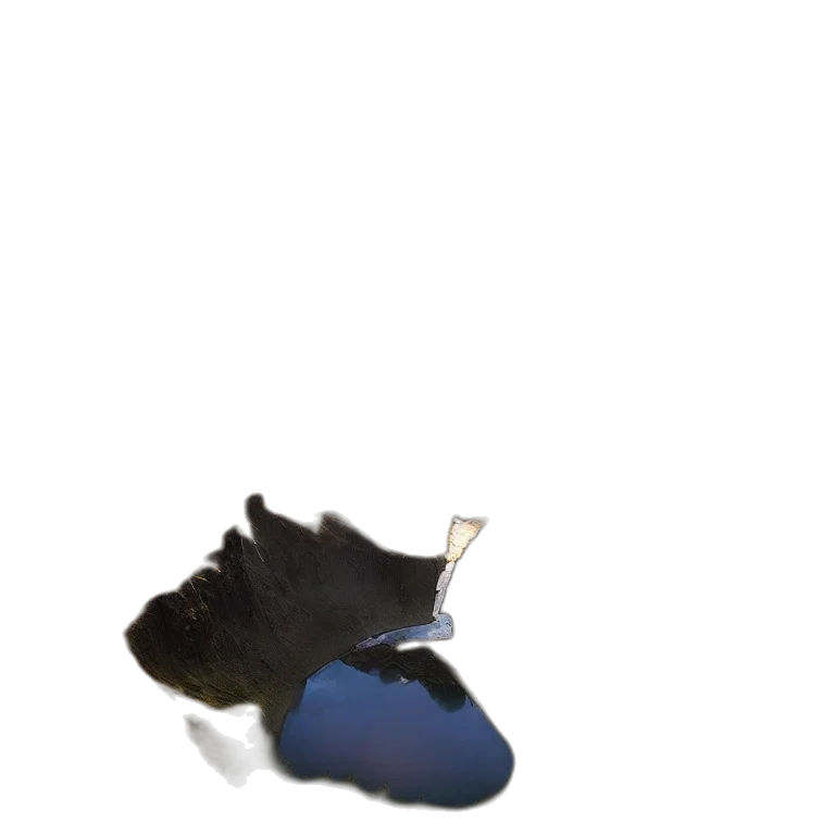 shoes, hat, animal, mask transparent PNG cut-out