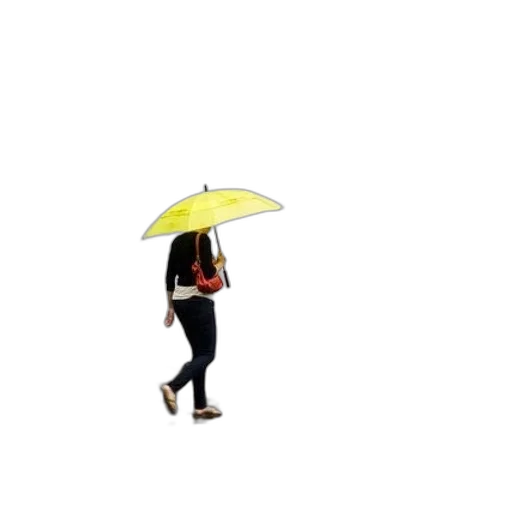 umbrella, staff, hat, jacket, pixel art, 3d render, concept art, photorealistic transparent PNG cut-out