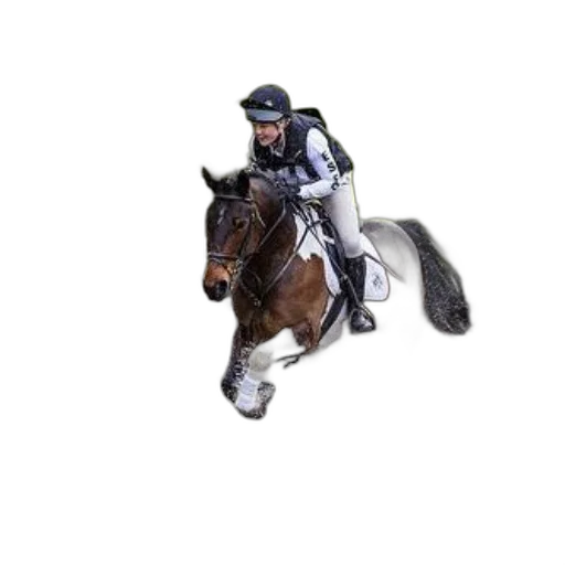 animal, staff, photorealistic, concept art, pixel art, 3d render, rider, black transparent PNG cut-out