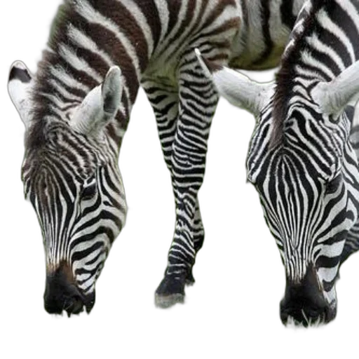 animal, creature, shoes, jewelry, photorealistic, 3d render, concept art, monochrome transparent PNG cut-out