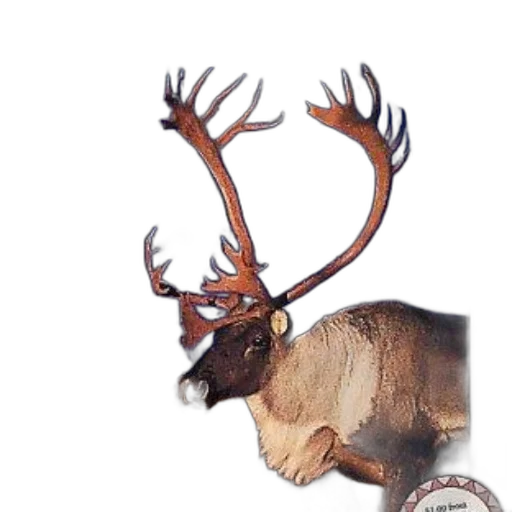 crown, animal, creature, watercolor, photorealistic, concept art, 3d render, earth tones transparent PNG cut-out