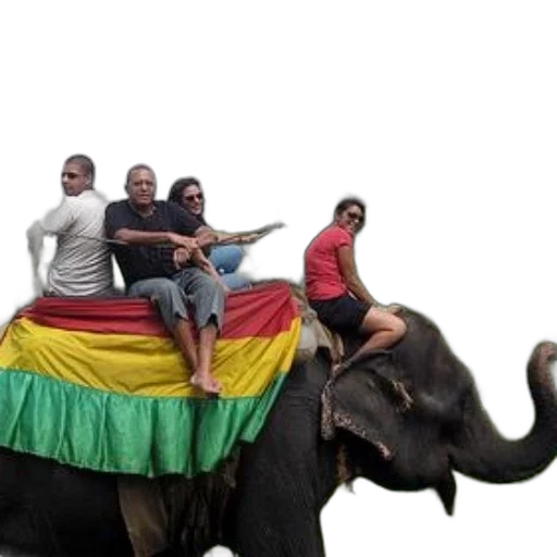 animal, umbrella, group, people, ride, elephant, colorful, blanket transparent PNG cut-out