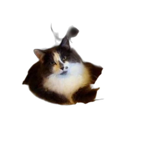 animal, creature, dragon, crown, photorealistic, 3d render, concept art, pixel art transparent PNG cut-out