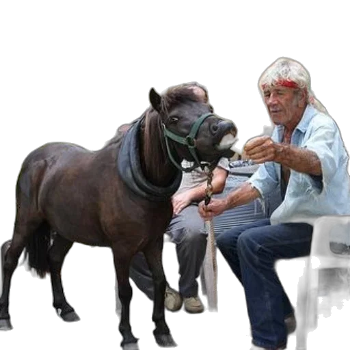 animal, creature, staff, photorealistic, concept art, 3d render, oil painting, older transparent PNG cut-out