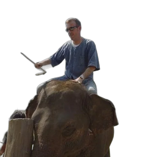 staff, animal, weapon, creature, photorealistic, concept art, 3d render, man transparent PNG cut-out