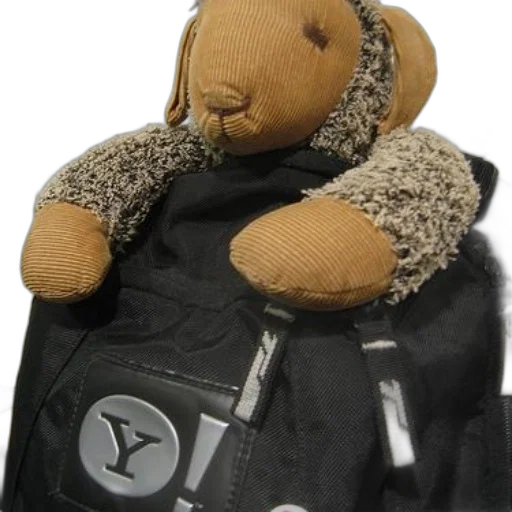 jacket, staff, stuffed, animal, brown, face, tan, paws transparent PNG cut-out