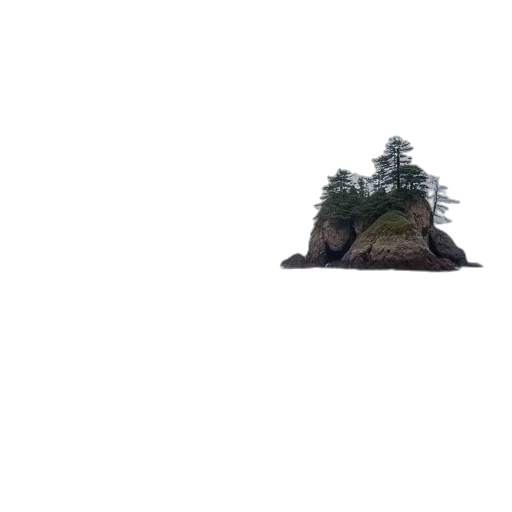 tree, umbrella, hat, crown transparent PNG cut-out