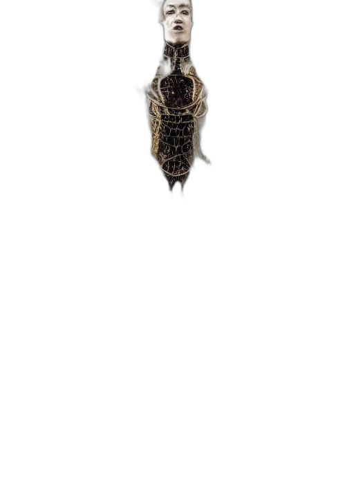 animal, creature, hair, dress transparent PNG cut-out
