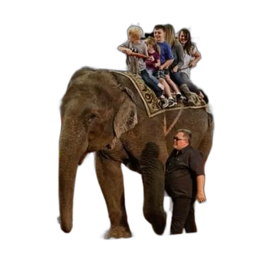 animal, creature, car, staff, concept art, forest, group, people transparent PNG cut-out