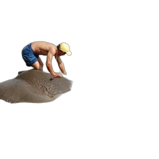 creature, animal, hat, hair transparent PNG cut-out