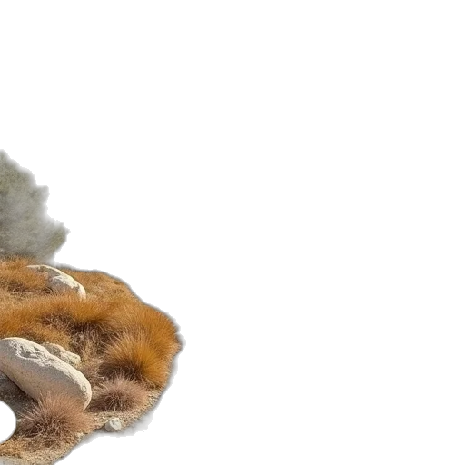 animal, hair, hat, creature transparent PNG cut-out
