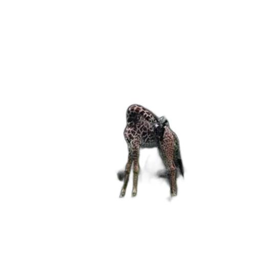 creature, animal, dragon, robot, 3d render, concept art, photorealistic, pixel art transparent PNG cut-out