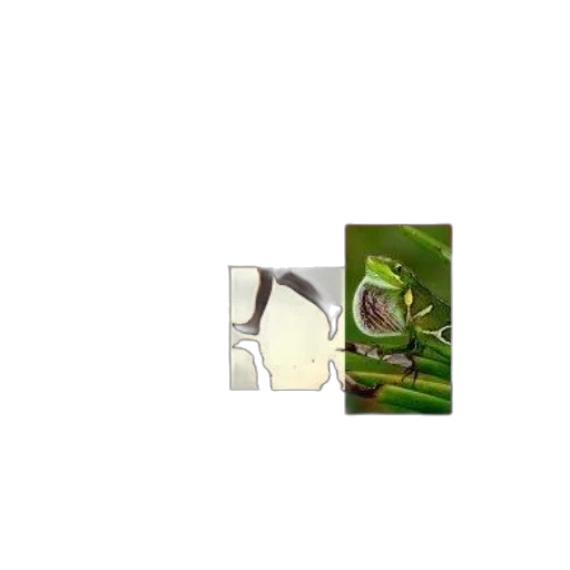 animal, dragon, creature, food, pixel art, concept art, 3d render, photorealistic transparent PNG cut-out