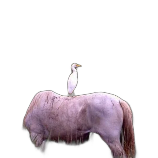 animal, creature, hair, hat, concept art, photorealistic, 3d render, fantasy art transparent PNG cut-out