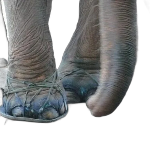 shoes, animal, creature, staff, photorealistic, 3d render, concept art, elephant transparent PNG cut-out