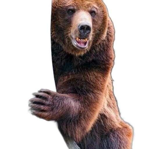 animal, creature, staff, face, photorealistic, 3d render, concept art, brown transparent PNG cut-out