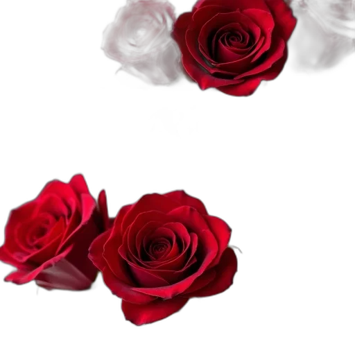 jewelry, flower, crown, 3d render, photorealistic, concept art, red, close-up transparent PNG cut-out