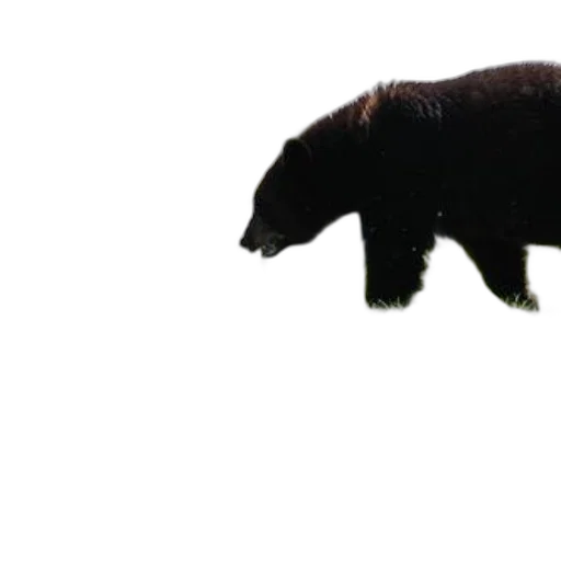 animal, creature, staff, weapon, concept art, 3d render, photorealistic, black transparent PNG cut-out