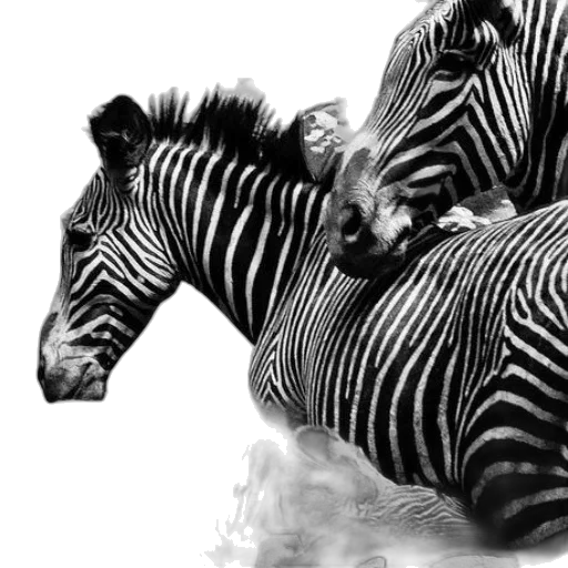 animal, creature, jewelry, photorealistic, pencil sketch, 3d render, concept art, monochrome transparent PNG cut-out
