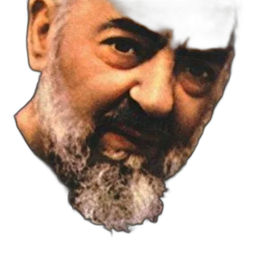 face, mask, hat, animal, photorealistic, vaporwave, pixel art, oil painting transparent PNG cut-out